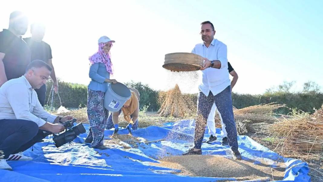 Manavgat’ın Altın Susamı 5 Yıldızlı Otellerin Mutfağını Süslüyor 4